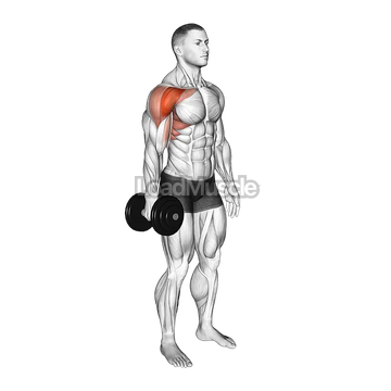 Dumbbell Single Arm Neutral Grip Front Raise