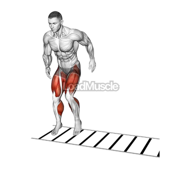 Lateral Ladder Drill