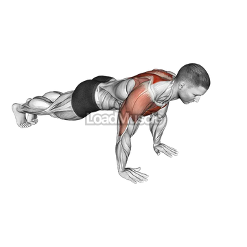 Lay Down Push-up