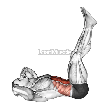 Lying Crunch (straight legs)