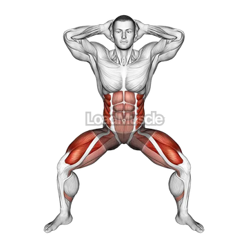 Half Squat Side Reach