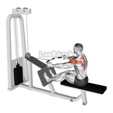 Cable Rear Delt Row (parallel bar)
