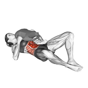 Bottle Weighted Frog Crunch