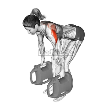 Bottle Weighted Bent Over Reverse Fly