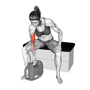 Bottle Weighted Concentration Curl