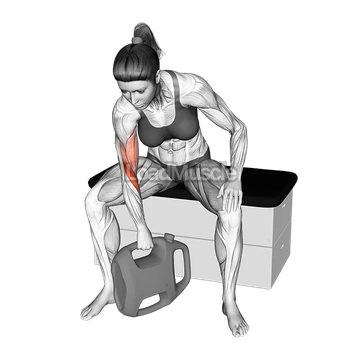 Bottle Weighted Reverse Grip Concentration Curl