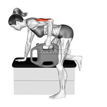 Bottle Weighted Kickback