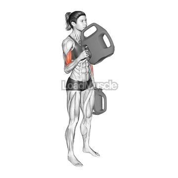 Bottle Weighted Alternate Hammer Curl