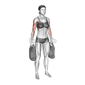 Bottle Weighted Armpit Row