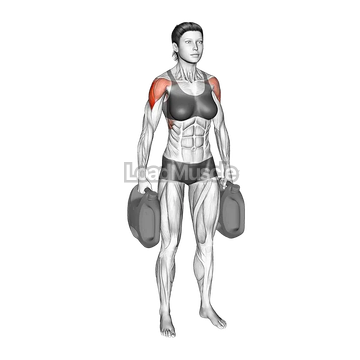 Bottle Weighted Lateral Raise