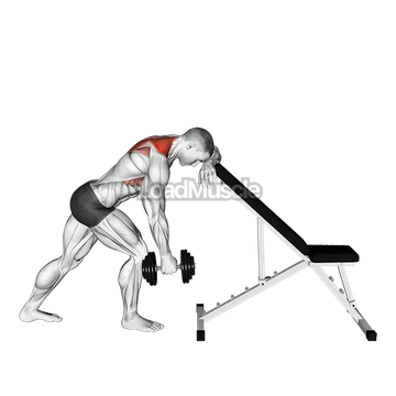 Dumbbell Unilateral Scapula Raise