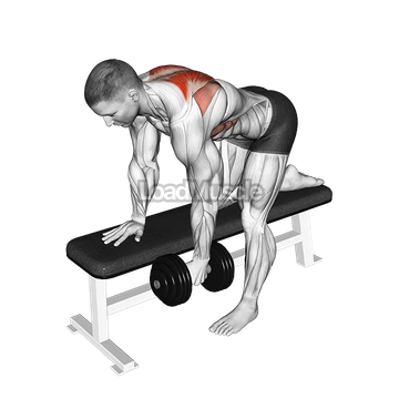 Dumbbell Bent-Over Scapula Row
