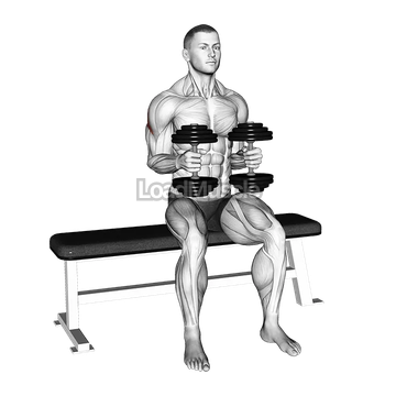 Dumbbell Seated External Rotation