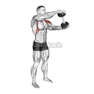 Dumbbell Standing Driver