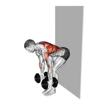 Dumbbell Bent Over Row against Wall