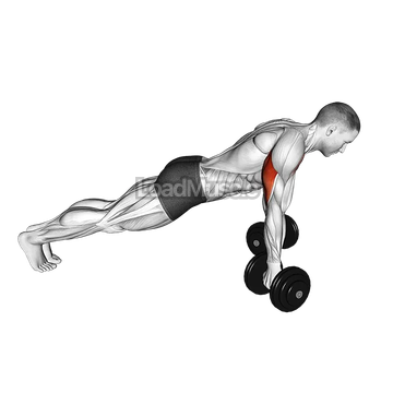 Dumbbell Reverse Push-up