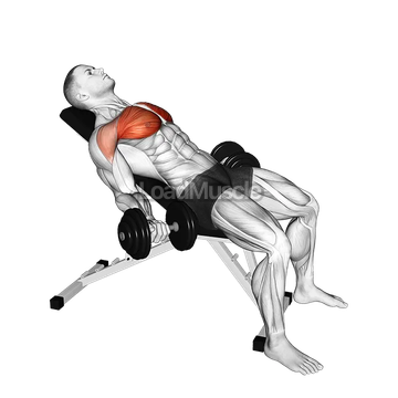 Dumbbell Incline Low Fly