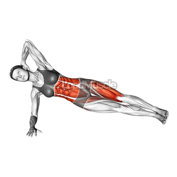 Elbow to Knee Side Plank Crunch (left)