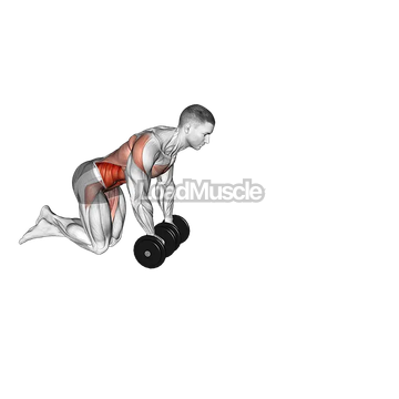 Dumbbell Rollout