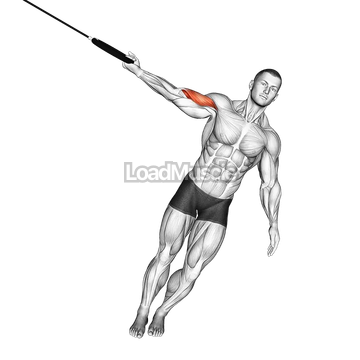 Ring One Arm Biceps Curl