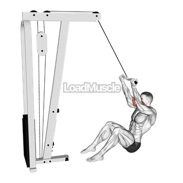 Cable Seated Overhead Curl (SZ Bar)