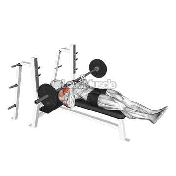 Barbell Close Grip Larsen Press