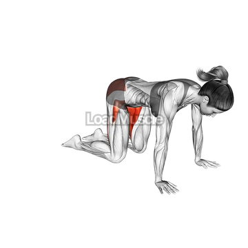 Frog Pose Mandukasana