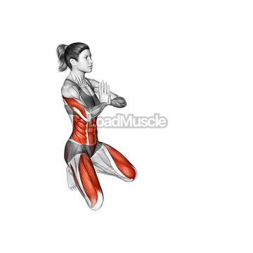 Peacock Pose Mayurasana