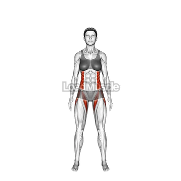 Bird of Paradise Pose Svarga Dvijasana