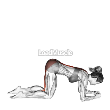 Basic-to-Cross Donkey Kick