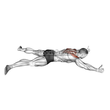 Prone Y Raise Exercise Guide LoadMuscle