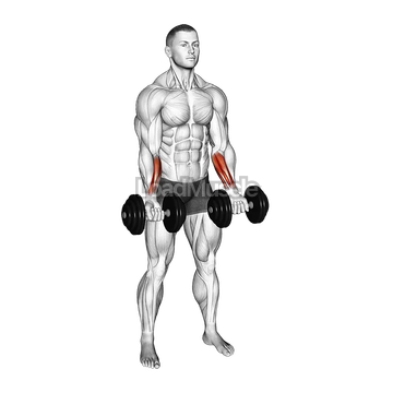 Dumbbell Standing Wrist Curl