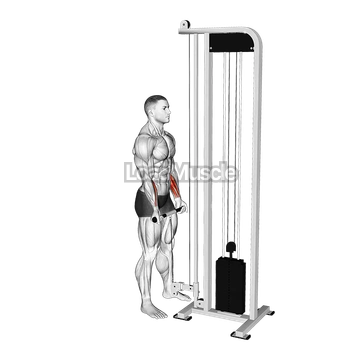 Cable Standing Wrist Curl