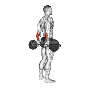 EZ Barbell Standing Back Wrist Curl