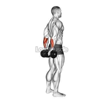 Dumbbell Standing Back Wrist Curl