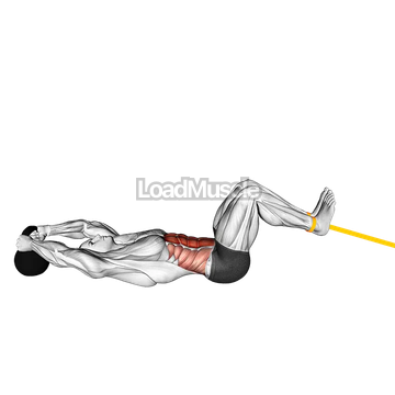 Resistance Band Reverse Crunch