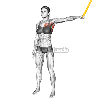 Resistance Band Shoulder Adduction