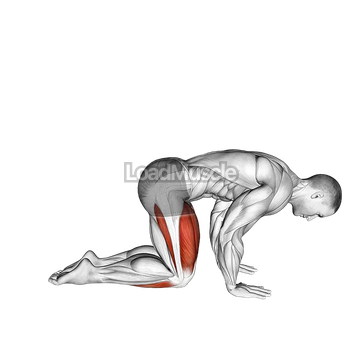 Yoga Vajrasana Thunderbolt Diamond Pose