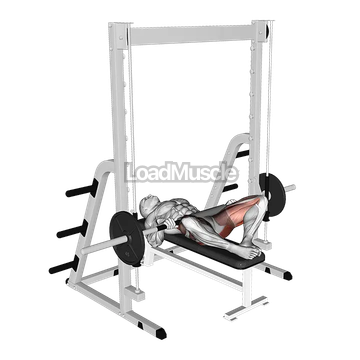 Smith Frog Hip Thrust