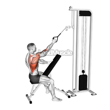 Cable Single Arm High Row