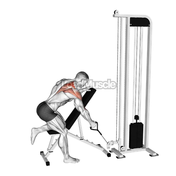 Cable Single Arm Low Scapular Row