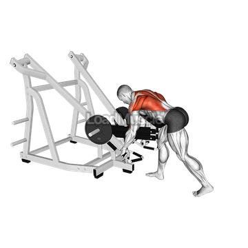 Lever Bent Over Row (with chest support)