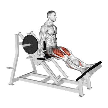 Lever Linear Hack Squat