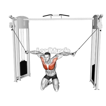 Cable Kneeling High to Low Fly