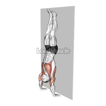 Handstand Hold on Wall