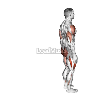 Bodyweight Reverse Lunge with Overhead Reach