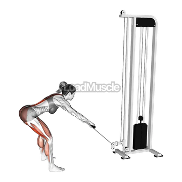 Cable Romanian Deadlift