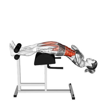 Glute Ham Sit-up
