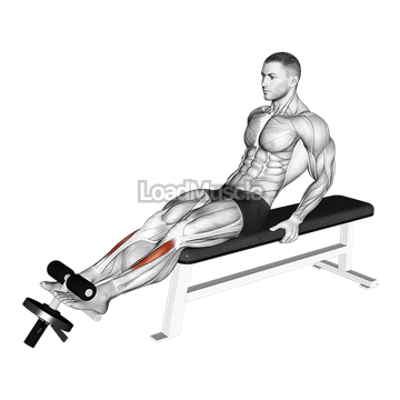 Weighted Plate Tibialis Anterior Curl