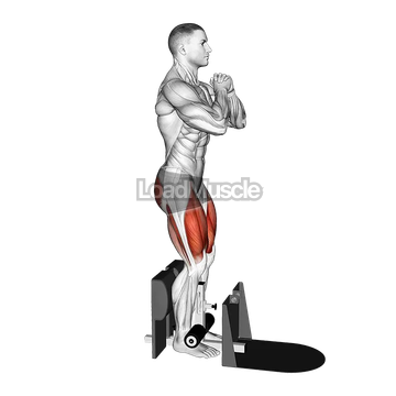 Bodyweight Supported Squat